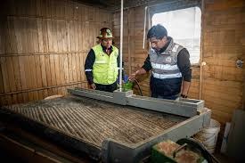 Análisis de concentrados de hierro